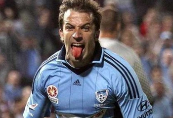 这正契合布 这正契合布