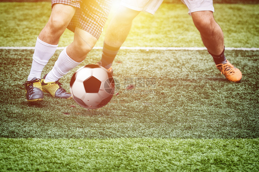 和纪律的诸 和纪律的诸